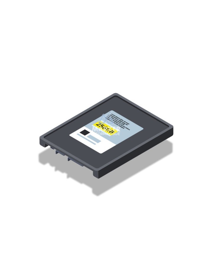 Disque IBM : 7.68 - TB 2072-AL4L
